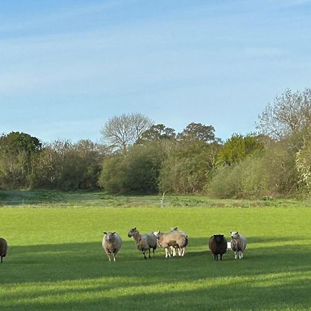 Oak Barn In The Cotswolds Near Moreton In Marsh Shipston-on-Stour Eksteriør bilde