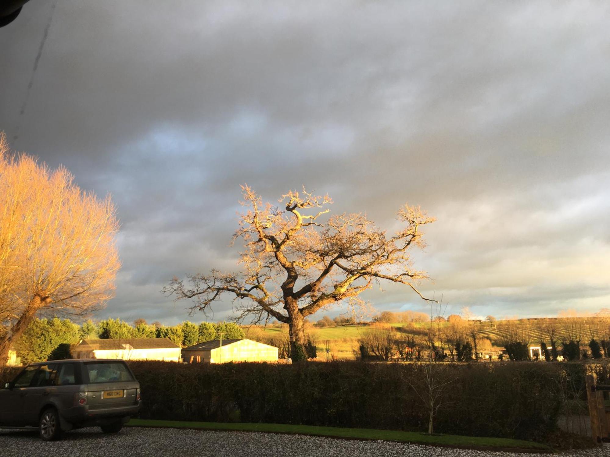 Oak Barn In The Cotswolds Near Moreton In Marsh Shipston-on-Stour Eksteriør bilde